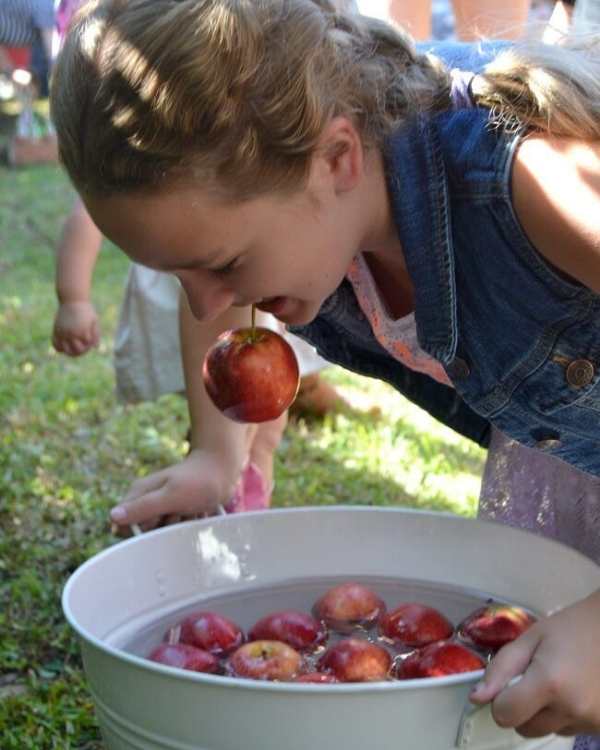 Girl-bobbing-apple-from-a-bucket-of-water.