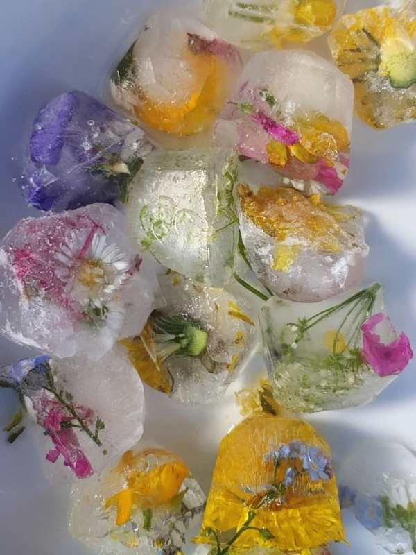 Frozen-flowers-in-a-tray-in-easy-summer-sensory-activities-for-toddlers-and-preschoolers.