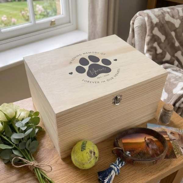 Box-with-the-foot-print-of-a-dog-on-it.