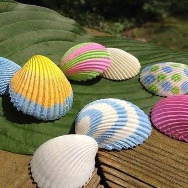 different-types-of-sheels-given-different-types-of painting-design-in-creative-DIY-summer-crafts-for-kids.