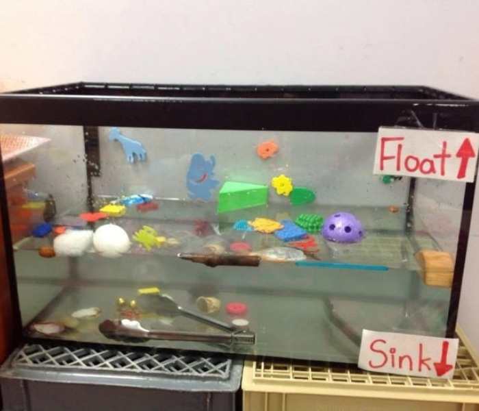 Bin-filled-with-water-with-some-floating-and-sinking-object-in-low-prep-homeschooling-activities-for-busy-moms.