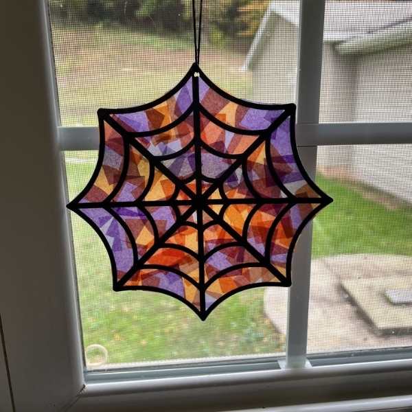 Spider-web-sun-catcher-displayed-on-aa-window.