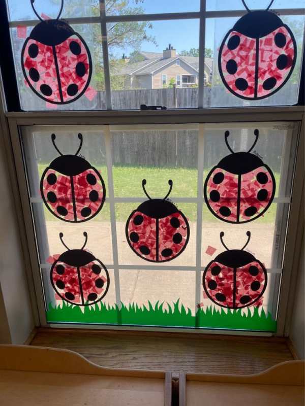 7-ladybug-suncatcher-on-a-window.
