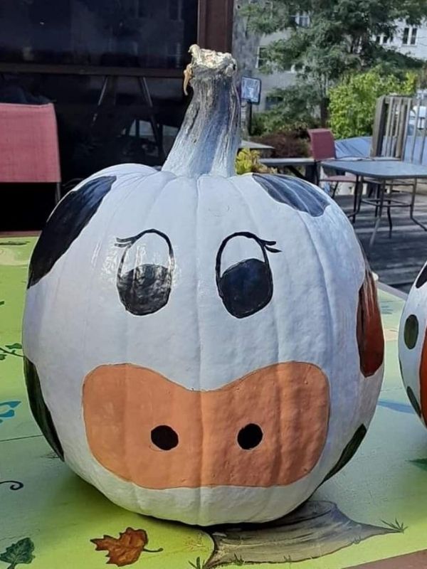 Cow-painted-pumpkin-in-pumpkin-painting-ideas-for-kids.
