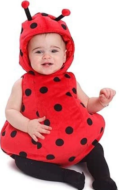 Baby-dressed-in-ladybug-costume.