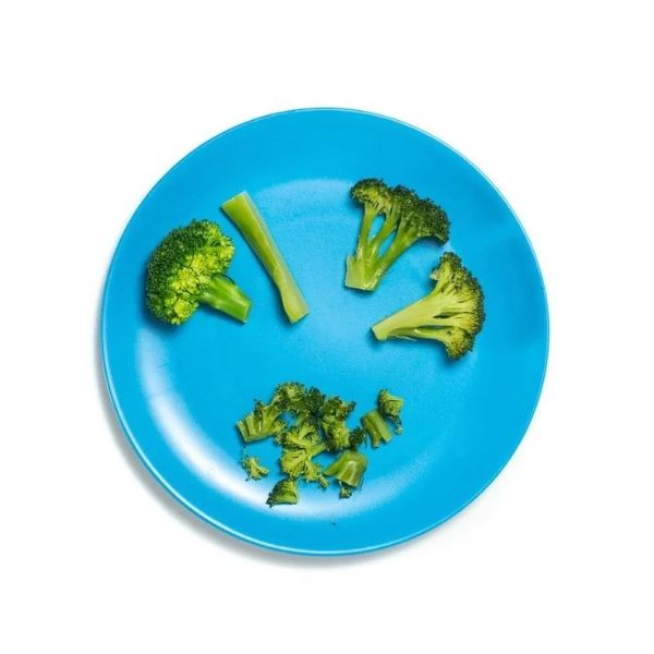 Broccoli-of-different-sizes-in-a-blue-plate-in-healthy-finger-food-ideas-for-babies-6-12-months.